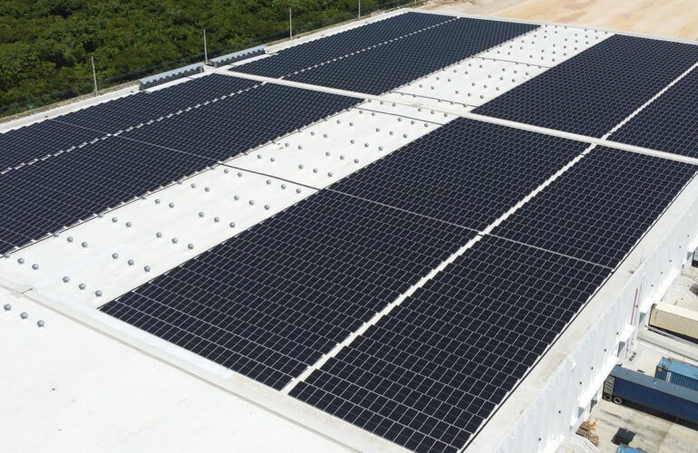 0020 Caucedo fase IV