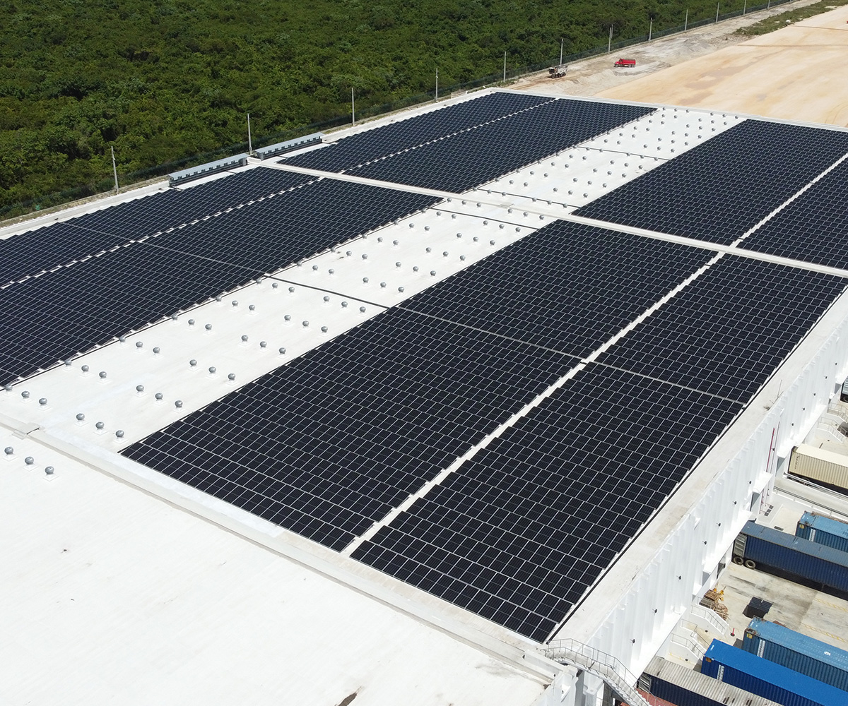 0020 Caucedo fase IV