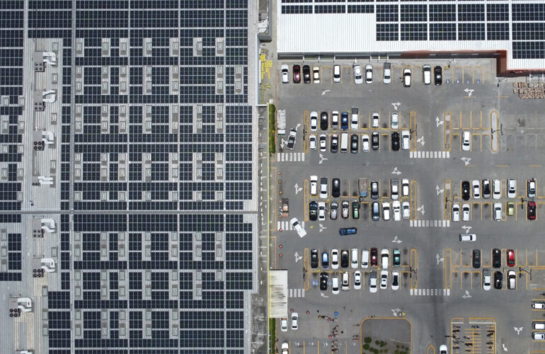 proyecto SIRENA BANI